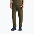 Мъжки панталони за трекинг The North Face Exploration Regular Tapered Convertible taupe green