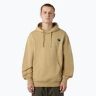 Мъжки суитшърт The North Face Mountain Logo Relaxed Hooded khaki stone