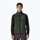 Мъжки елек Patagonia Retro Pile Fleece old growth green