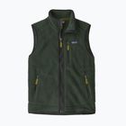 Мъжки елек Patagonia Retro Pile Fleece old growth green