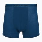 Мъжки боксерки за плуване icebreaker Anatomica atlantis