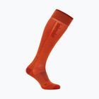 Мъжки ски чорапи icebreaker Merino Ski+ Ultralight OTC fervid/agate