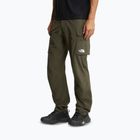 Мъжки панталони за трекинг The North Face Exploration Cargo taupe green