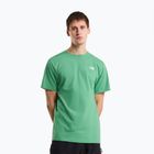 Мъжка тениска The North Face Evolution Simple Dome dimmed algae