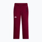 Дамски скиорски панталони The North Face Lenado burgundy crush