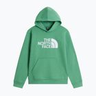Детски суитшърт The Noryh Face Essential Drew Peak Hoodie dimmed algae