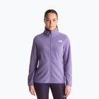 Мъжки поларен суитшърт The North Face Glacier Fleece grounded plum