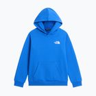 Детски суитшърт The North Face Evolution Box NSE Pullover Hoodies active blue