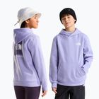 Детски суитшърт The North Face Evolution Box NSE Pullover Hoodies pale plum