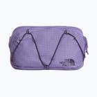 Чантичка за кръстна The North Face Terra Lumbar 1 l grounded plum/endless