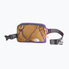 Чантичка за кръстна The North Face Terra Lumbar 1 l utility brown/peak purple