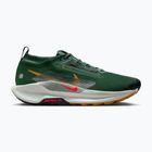 Мъжки обувки за бягане Nike Pegasus Trail 5 GORE-TEX fir/bright crimson/clay green