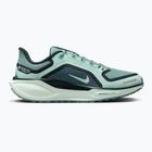Дамски обувки за бягане Nike Pegasus 41 GORE-TEX cannon/barely green/bleached turq