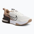 Мъжки обувки за тренировка Nike Air Max Alpha Trainer 6 sail/baroque brown/hemp/desert dust