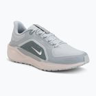 Мъжки обувки за бягане Nike Pegasus 41 GTX light pumice/pure platinum/silt red/metal silver