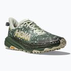 Мъжки обувки за бягане HOKA Speedgoat 6 GTX sea flass/fern
