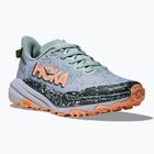 Дамски обувки за бягане HOKA Speedgoat 6 GTX jade/ash grey