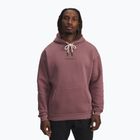 Мъжки суитшърт Under Armour Project Rock Icon Hoody maroon mist/black
