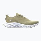 Мъжки обувки за бягане Under Armour Ascend khaki base/summit white/castlerock