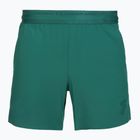 Мъжки шорти за тренировка Under Armour Vanish Elite rack green/rack green