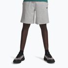 Мъжки шорти за тренировка Under Armour Rival LW mod gray light heather/black