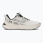 Мъжки обувки за тренировка Under Armour FLX TR summit white/black/black