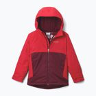 Детско скиорско яке Columbia Alpine Action III rich wine melange/mountain red