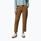 Мъжки панталони за трекинг Columbia ROC Straight Leg delta