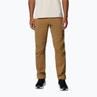 Мъжки панталони за трекинг Columbia Cosmiques Pro Nylon delta