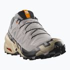 Мъжки обувки за бягане Salomon Speedcross 6 GTX gull/white pepper/black