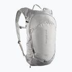 Туристическа раница Salomon Trailblazer 10 l cloudburst/paloma/silver
