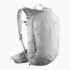 Туристическа раница Salomon Trailblazer 20 l cloudburst/paloma/silver