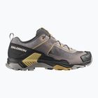 Мъжки обувки за трекинг Salomon X Ultra 5 cloudburst/black/willow