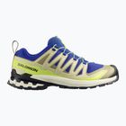 Мъжки обувки за бягане Salomon XA Pro 3D V9 bluing/bog/acid lime