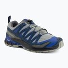 Мъжки обувки за бягане Salomon XA Pro 3D V9 wrought iron/spellbound