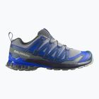Мъжки обувки за бягане  Salomon XA Pro 3D V9 wrought iron/spellbound