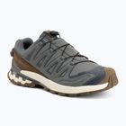 Мъжки обувки за бягане  Salomon XA Pro 3D V9 GTX Lifelong sedona sage/coyote brown