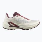 Дамски обувки за бягане Salomon Genesis 2 vanilla ice/huckleberry