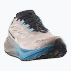 Мъжки обувки за бягане  Salomon Aero Blaze 4 GRVL GTX oxford tan/black