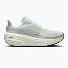 Дамски обувки за бягане Nike Winflo 12 off white/barely green/metallic silver