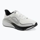 Мъжки обувки за бягане Nike Pegasus 42 summit white/metallic silver-photon dust