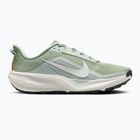 Мъжки обувки за бягане Nike ACG Pegasus Trail jade horizon/light silver/phantom