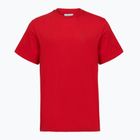 Мъжка тениска Columbia CSC Basic Logo Back Tee mountain red/linework c badge