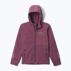 Детско софтшел яке Columbia Ascender Hooded Softshell antique mauve