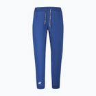 Мъжки панталони за тенис Babolat Play sodalite blue