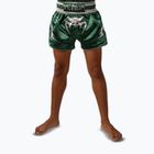 Детски шорти за тренировка Venum Inferno Muay Thai forest green/off white