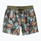 Мъжки шорти за плуване Billabong Coral Garden Layback multicolor