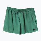 Мъжки шорти за плуване Quiksilver Everyday Surfwash Volley 15 frosty spurce