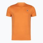 Мъжка фланелка за тенис Lacoste TH0004 blossom