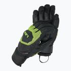 Мъжки скиорски ръкавици LEKI WCR Coach 3D black/ ice lemon